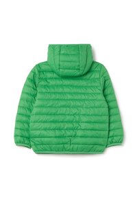 Grüne Puffjacke mit Kapuze, ausgestattet mit einem gesteppten Design, glatter Textur und elastischen Bündchen. Die Rückansicht zeigt horizontale Nähte.