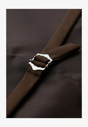 Brun tygrem med en silverfärgad rektangulär metallspänne som vilar på en jämn mörkbrun tygyta.