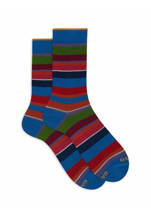 Gallo WITH STRIPES - Calze - egeo zucca