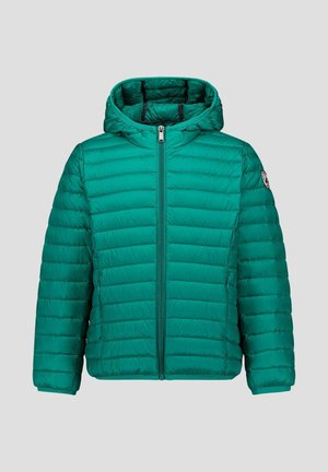 Chaqueta acolchada verde con capucha, con paneles acolchados horizontales, cremallera frontal y detalle de logo en la manga. Textura suave.