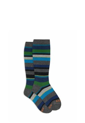 LONG WITH STRIPE - Calze parigine - grey