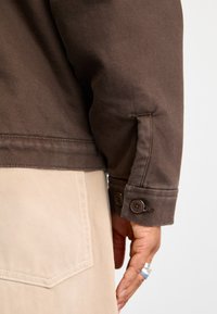 Dickies DUCK DECK JACKET - Light jacket - dark brown