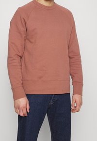 Sudadera de manga raglán en rosa empolvado, hecha de una suave mezcla de algodón. Presenta puños y dobladillo de canalé, con un corte relajado y un diseño minimalista.