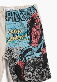 Spiderman-afbeelding op shorts met de tekst "Crisis op Campus" en een menigte die protestborden vasthoudt in zwarte, blauwe, rode en beige kleuren.