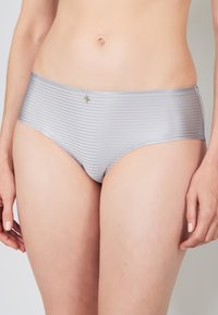 Silber gestreifte Hipster-Slips für Damen aus glattem Stoff mit einem dekorativen goldfarbenen Akzent am Taillenbund.