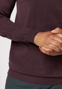 ROY ROBSON ROLLKRAGEN - Strickpullover - lila