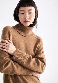 GANT DETAIL ROLLNECK DRESS - Pletené šaty - cacao