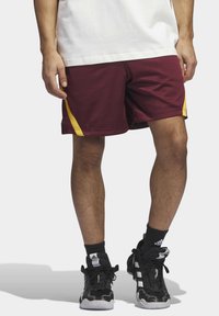 adidas Performance SELECT SUMMER - Kurze Sporthose - shadow red