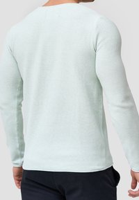 Hellegrüner, strukturierter Langarmpulli mit rundem Halsausschnitt und seitlichen Schlitzen, von hinten betrachtet. Glattes Strickmaterial.
