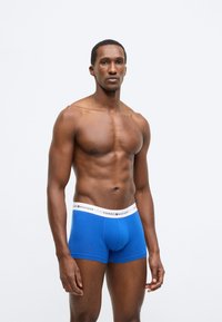 Blå boxershorts med en hvid taljebånd, der viser "TOMMY HILFIGER" logoet. Strækbart bomuldsmateriale, tætsiddende design og korte ben.