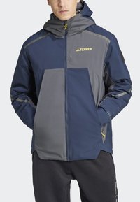 Adidas Terrex NATIONAL GEOGRAPHIC INSULATED REVERSABLE - Zimní bunda - grey six