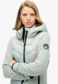 Chaqueta con capucha de un gris claro, con parte superior acolchada, cremallera negra, mangas de forro polar y parche de logo en el brazo izquierdo. Textura suave y diseño deportivo.