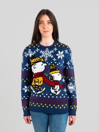 Maglione lavorato a maglia di colore blu navy con motivi a fiocchi di neve, caratterizzato da personaggi dei cartoni animati vestiti per l'inverno. Polsini e orlo a costine, con dettagli colorati in giallo e rosso.
