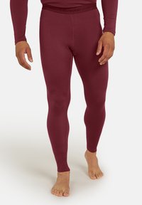icebreaker 260 TECH - Unterhose lang - port