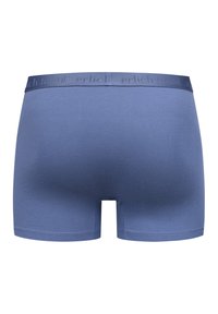 Blue men's boxer briefs with a branded elastic waistband, smooth fabric, and a close-fitting cut shown from the back.
