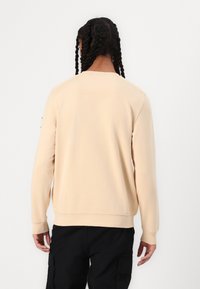 Light beige sweatshirt with a crew neck, long sleeves, ribbed cuffs, and hem. Smooth texture; minimal detailing on the back.