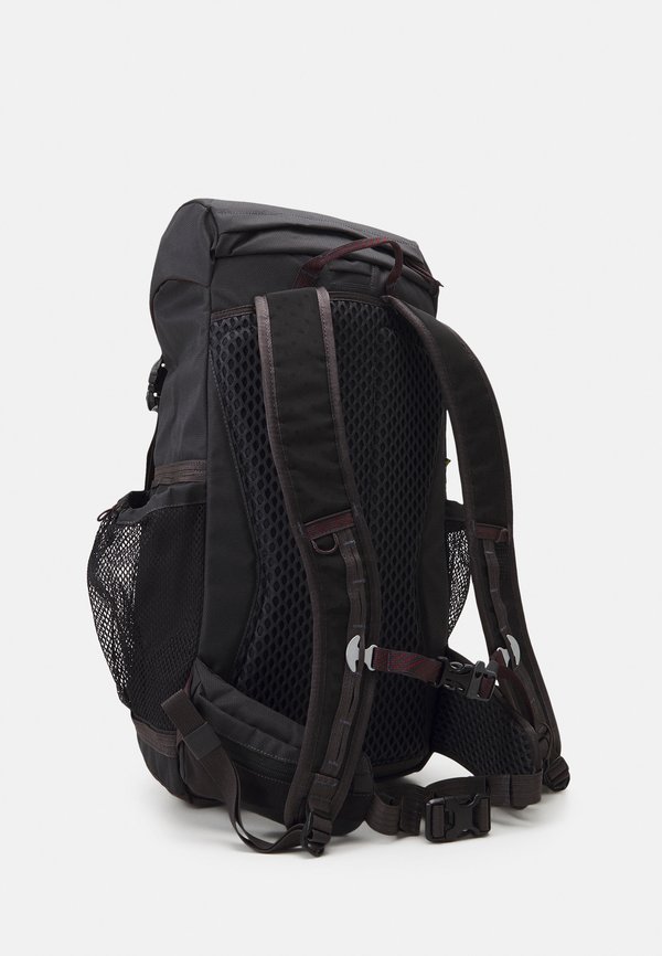 DELLING BACKPACK 25L - Rucksack - raven4