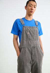Gray denim overalls featuring adjustable straps, front pockets, and a logo patch, worn over a bright blue t-shirt. Smooth texture, casual design.