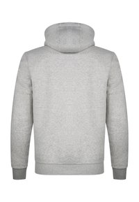 Light grey long-sleeve hoodie with ribbed cuffs and hem, shown from the back on a white background.