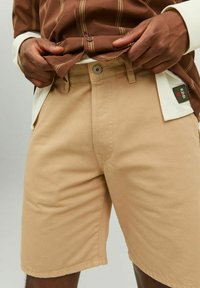 Beige Baumwollshorts mit klassischer Passform, ausgestattet mit einem frontalen Knopfverschluss, Gürtelschlaufen und Seitentaschen. Label auf der Gesäßtasche.