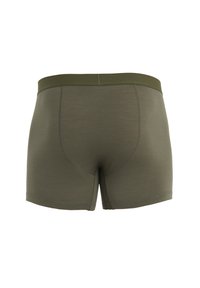 icebreaker MERINO ANATOMICA COOL-LITE - Boxershort - DARK GREEN