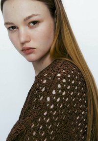 Jeune femme aux longs cheveux raides châtains clairs portant un pull en maille aérée marron foncé, regardant sérieusement vers la caméra.