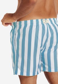 Blaue und weiße gestreifte Badeshorts mit einem elastischen Bund, seitlichen Taschen und einem Etikett auf der Rückseite. Das Material wirkt leicht und wasserabweisend.
