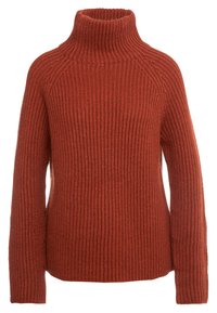 Rust-colored sweater featuring a high ribbed neck, long sleeves, and a textured knit pattern. The design includes a relaxed fit and ribbed hem.