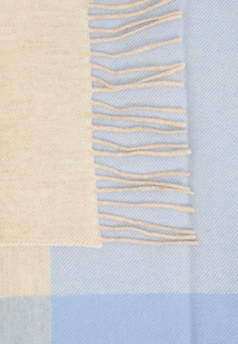 Beige und hellblaue Karodecke mit Fransenrändern; die weiche Textur, der gewebte Stoff und die hellen Farben erzeugen einen subtilen Kontrast im Muster.