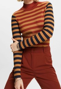 Femme portant un col roulé côtelé à rayures avec un corps rouge et moutarde, et des manches bleu marine et moutarde, associé à un pantalon taille haute couleur rouille.