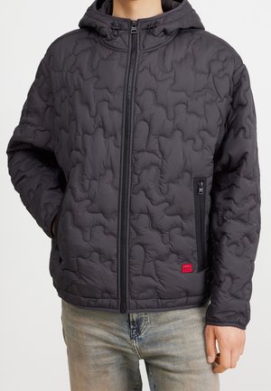 Winter jacket - grey
