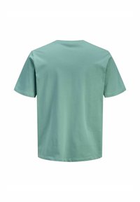 Camiseta de algodón de manga corta en verde menta, vista desde atrás, con cuello redondo y dobladillo recto.