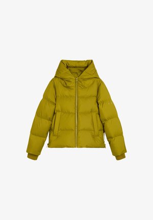 Zielona kurtka puchowa z kapturem, z zamek błyskawicznym, dużymi kieszeniami z przodu i ściągaczami przy mankietach; ma pikowany, teksturowany wzór.