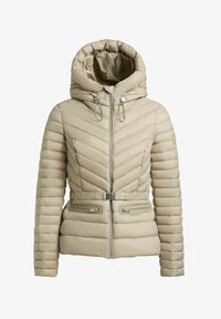 Ikke valgt, mint green