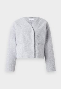 Veste courte gris clair à manches longues avec une texture duveteuse, col en V, sans boutons ni fermetures éclair visibles.