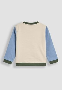 Lys beige sweatshirt med lange ærmer; blå ærmer og mørkegrønne ribbede manchetter. Glat stof med et enkelt design.