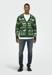 Grüne Strickjacke mit weißen Rentier- und Schneeflockenmuster, "FROHE WEIHNACHTEN"-Text, V-Ausschnitt und Knopfverschluss. Über einem weißen Shirt getragen.