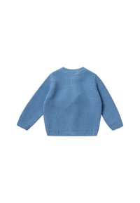 Pull en tricot côtelé bleu clair avec un col rond et des manches longues. L'arrière présente une texture lisse ainsi que des poignets et un ourlet ajustés.