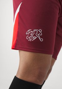 Puma SWITZERLAND SFV REPLICA - Landsholdstrøjer - team regal red/red