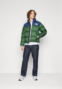 The North Face 1996 RETRO NUPTSE JACKET - Jakna ispunjena paperjem - pine needle/summit navy