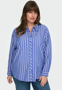Camisa de botones a rayas azul y blanca con mangas largas y cuello, que presenta un ajuste relajado y un dobladillo redondeado.