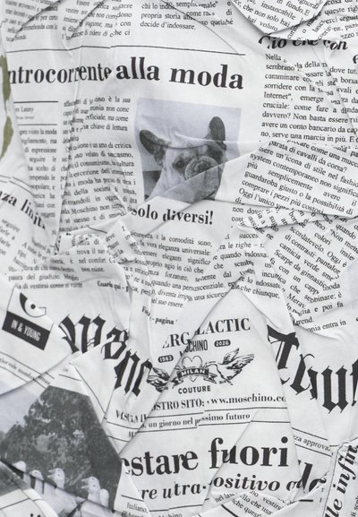 Τσαλακωμένο τυπωμένο φύλλο εφημερίδας με έναν γαλλικό μπουλντόγκ που φοράει μπερέ και διάφορα ιταλικά κείμενα για τη μόδα.