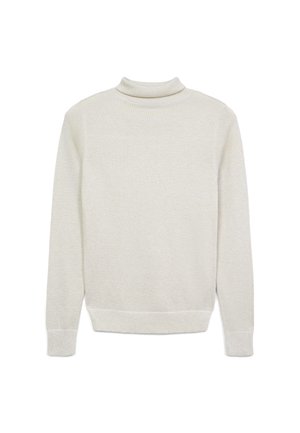 Hellgrauer Rollkragenpullover aus weichem Strickmaterial, mit langen Ärmeln und geripptem Saum. Glatte Textur mit subtiler Eleganz.