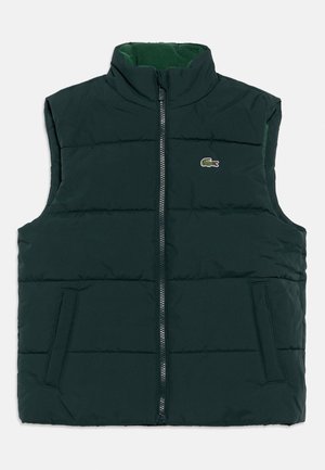 CORE UNISEX - Brezrokavnik - sinople