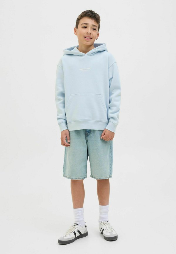 JORVESTERBRO - Kapuzenpullover - skyway