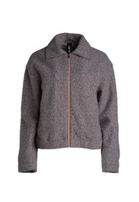 Grijze fleece-jack met een kraag, lange mouwen en een voorrits. Gestructureerde afwerking en cropped design. Roze gouden ritsaccent.