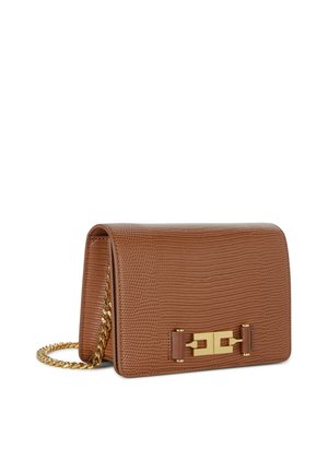 Borsa a mano in pelle marrone testurizzata con tracolla a catena dorata e chiusura rettangolare dorata sul davanti, posata su sfondo bianco.