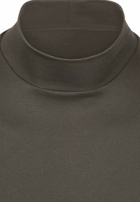 Donkergroen top met hoge hals, gemaakt van zacht, rekbaar materiaal. Heeft een naadloze halslijn en een gladde textuur, geschikt voor lagen of als losse top.