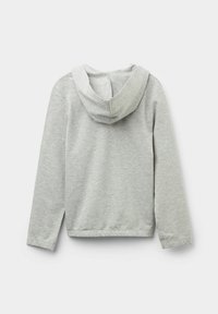 Šedá mikina s měkkou texturou, vybavená kapucí na šňůrku, dlouhými rukávy a jednoduchým, nezdobeným designem. Zobrazeno ze zadní strany.