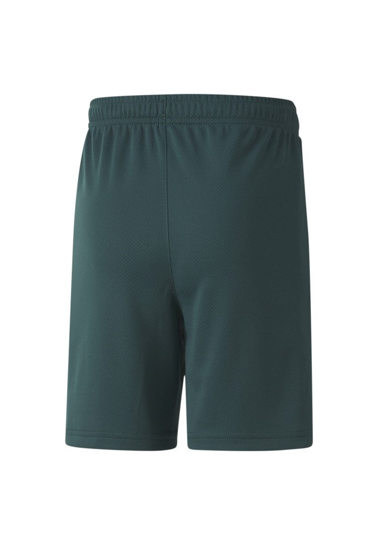 italia puma shorts